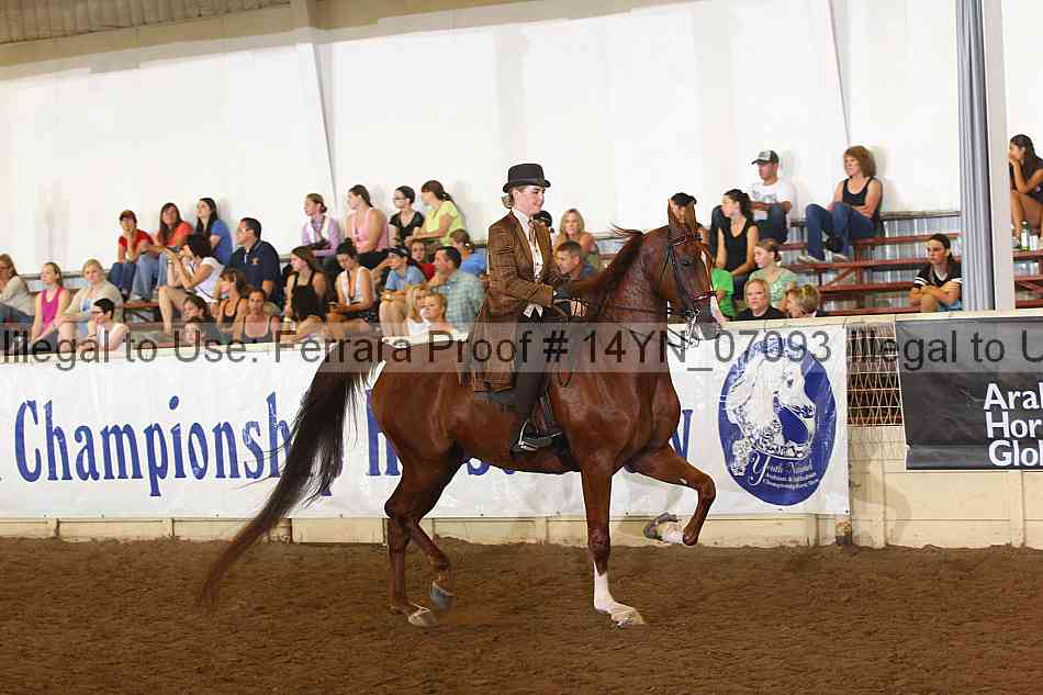 Proof 14yn_07093