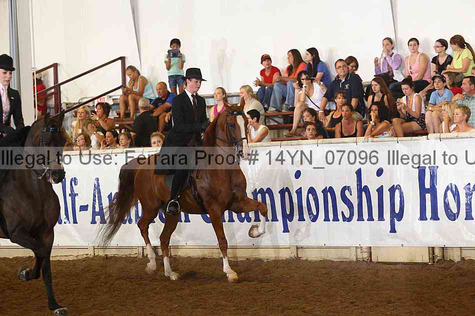 Proof 14yn_07096