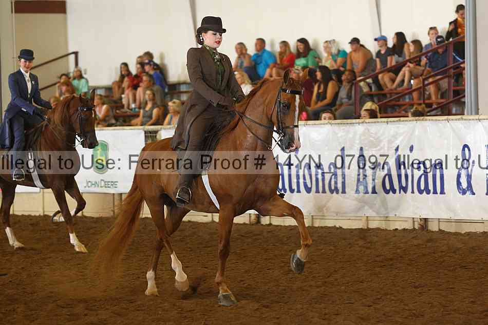Proof 14yn_07097