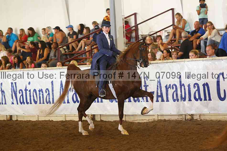 Proof 14yn_07098