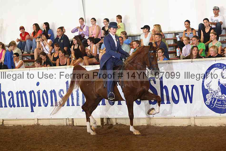 Proof 14yn_07099
