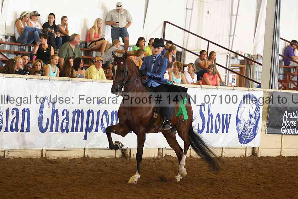 Proof 14yn_07100