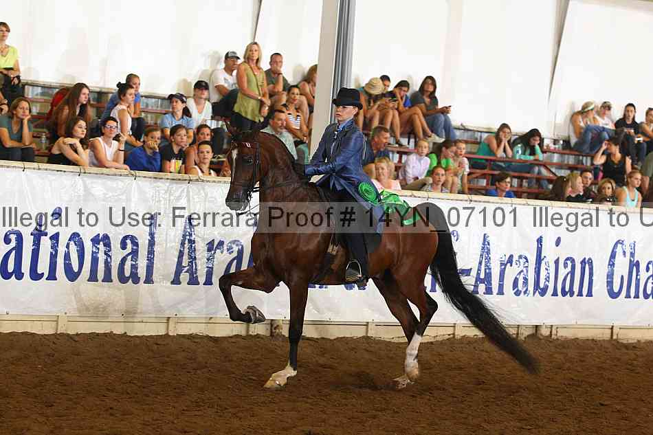 Proof 14yn_07101
