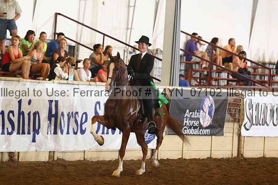 Proof 14yn_07102