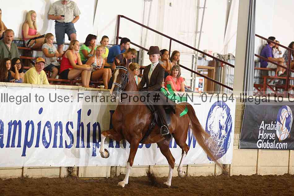 Proof 14yn_07104