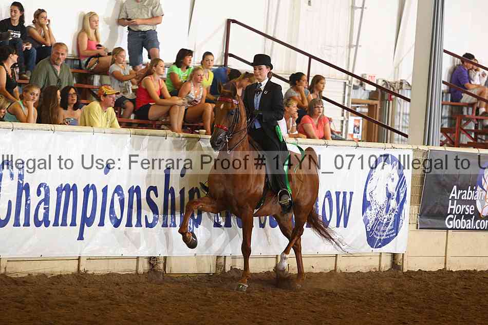 Proof 14yn_07107