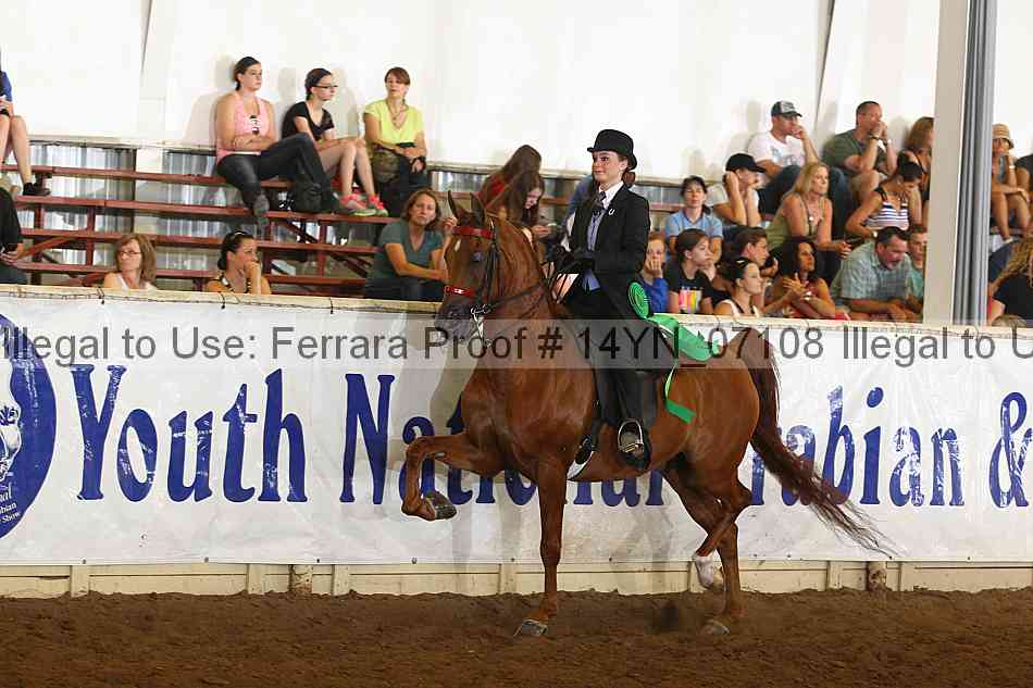 Proof 14yn_07108