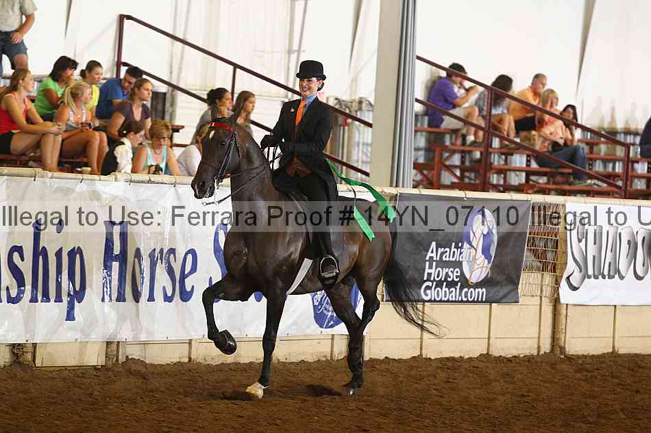 Proof 14yn_07110