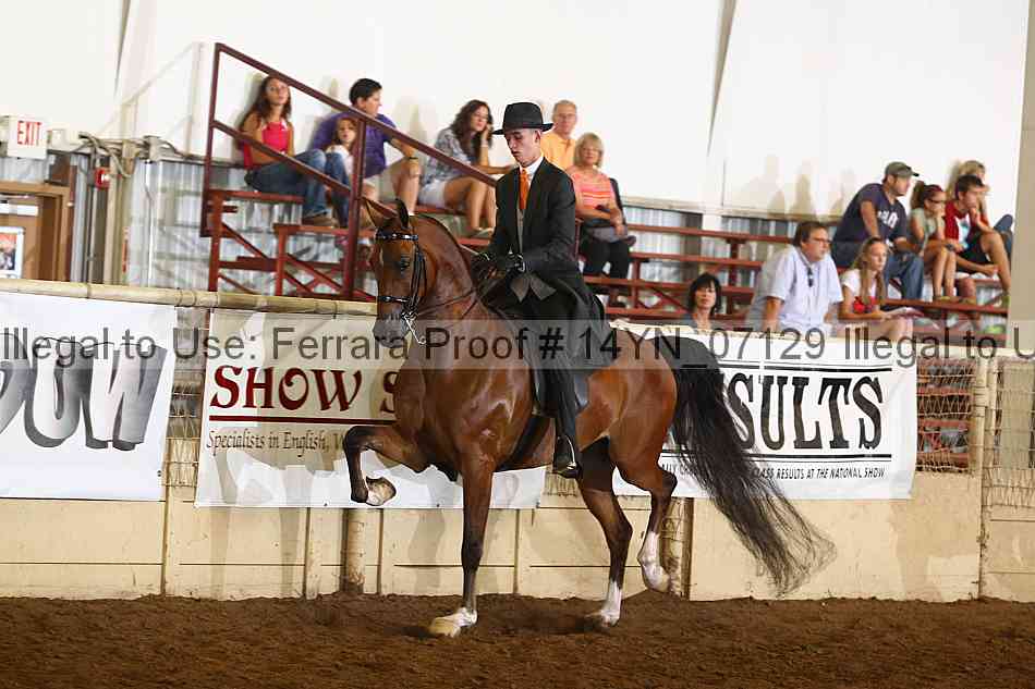 Proof 14yn_07129