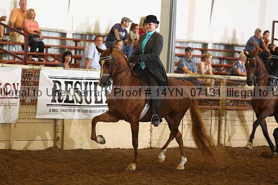 Proof 14yn_07131