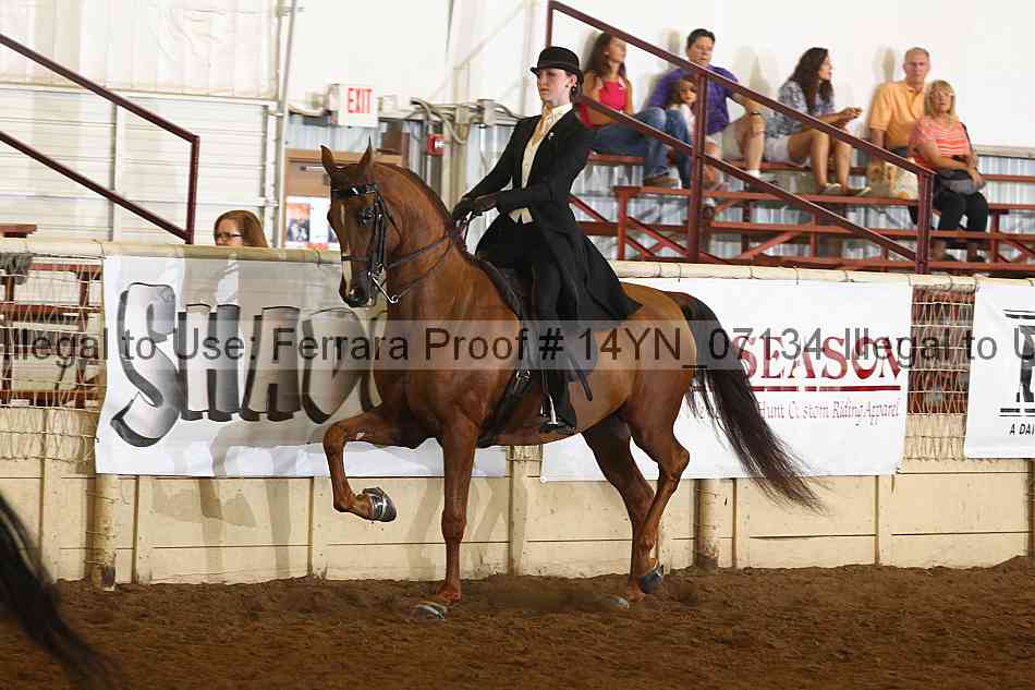 Proof 14yn_07134