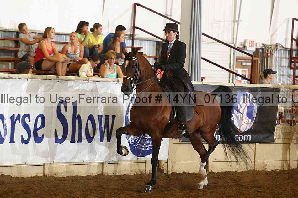 Proof 14yn_07136