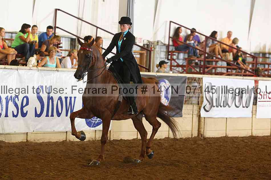 Proof 14yn_07145