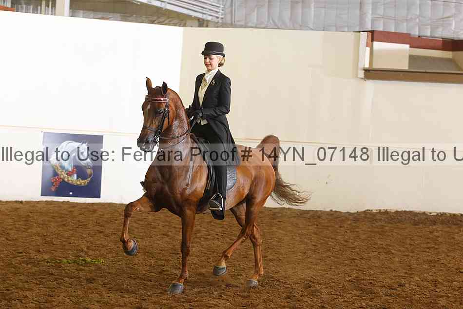 Proof 14yn_07148