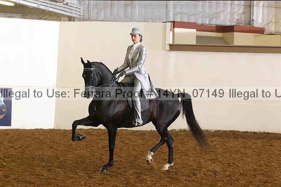Proof 14yn_07149
