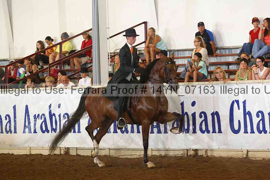 Proof 14yn_07163