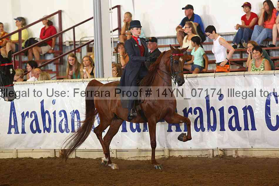 Proof 14yn_07174