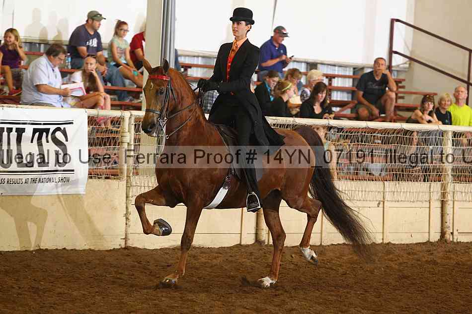 Proof 14yn_07191