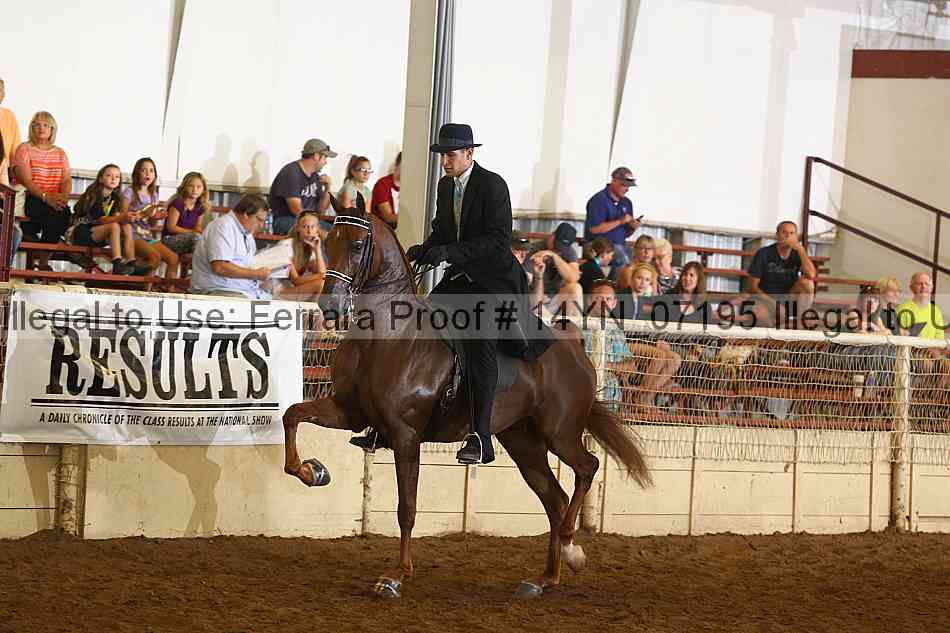 Proof 14yn_07195