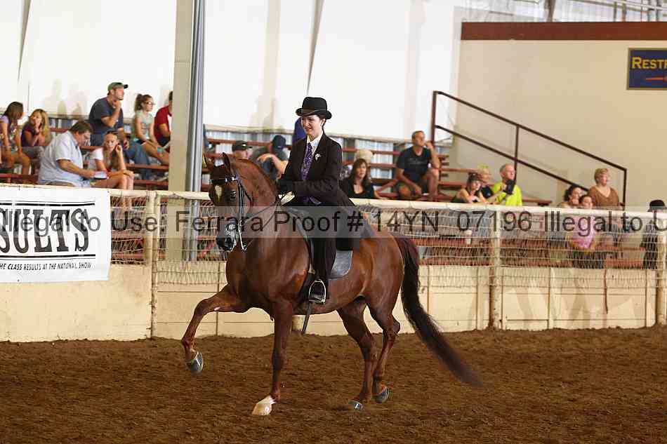 Proof 14yn_07196