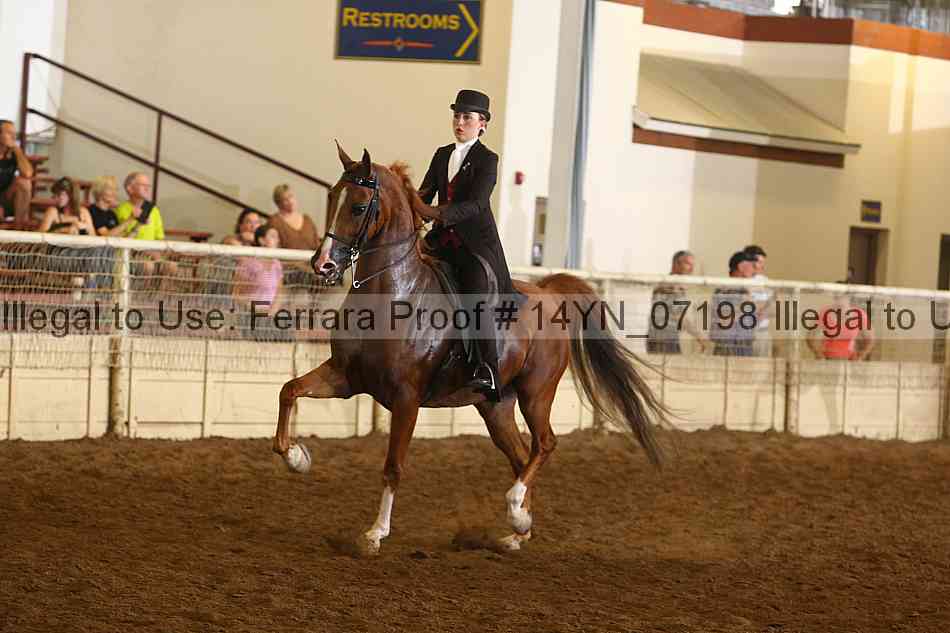 Proof 14yn_07198