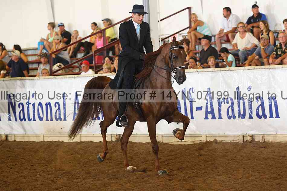 Proof 14yn_07199