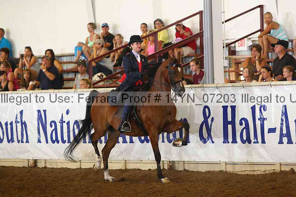 Proof 14yn_07203