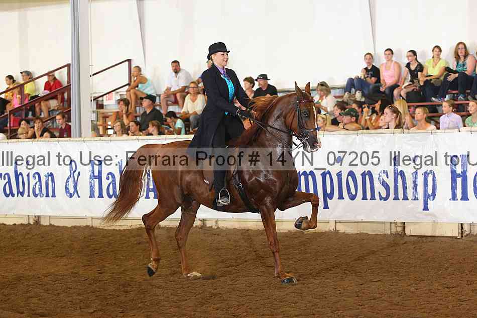 Proof 14yn_07205