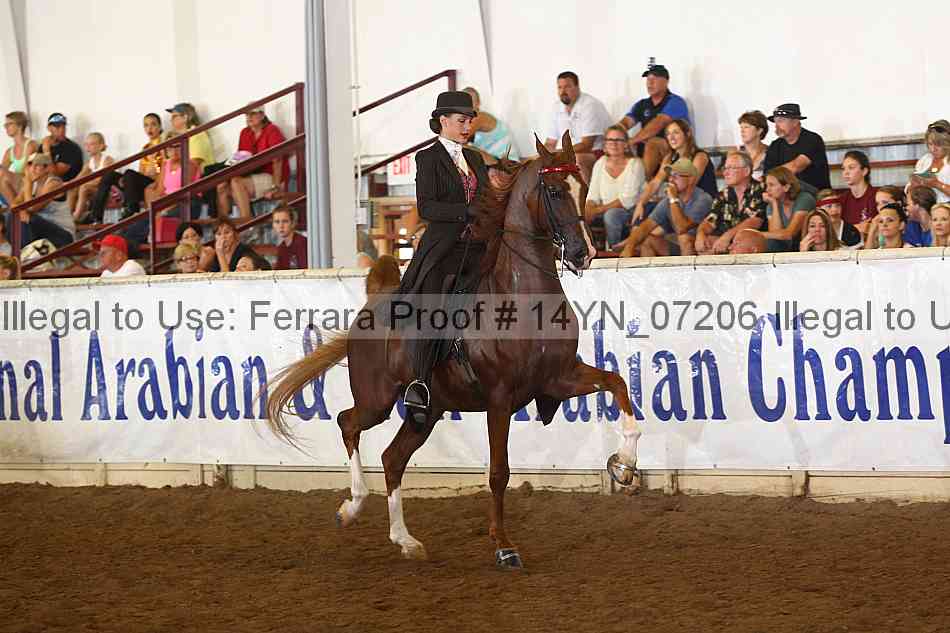 Proof 14yn_07206