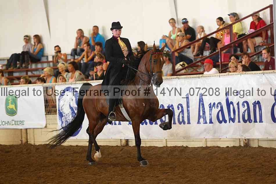 Proof 14yn_07208