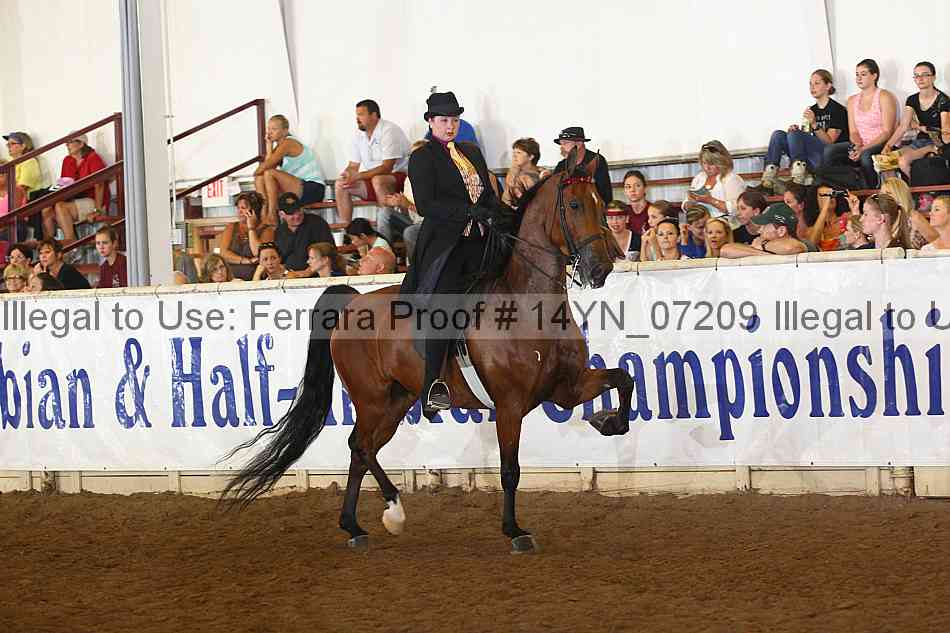 Proof 14yn_07209