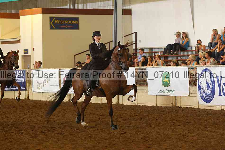 Proof 14yn_07210