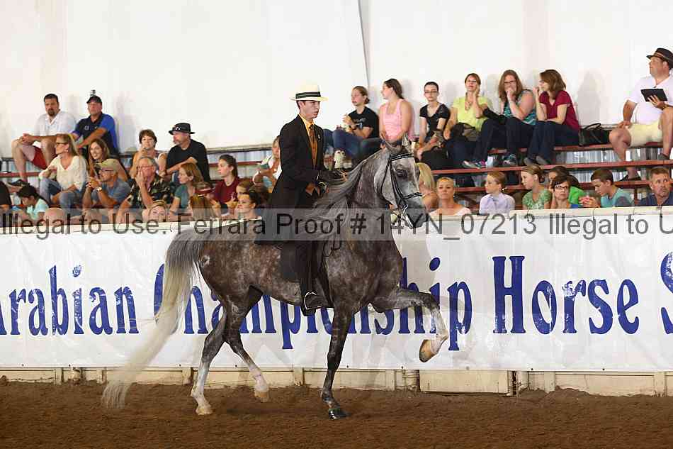 Proof 14yn_07213