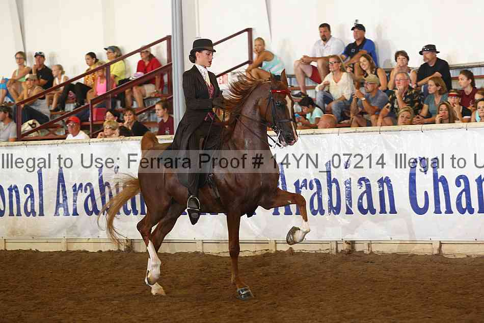 Proof 14yn_07214