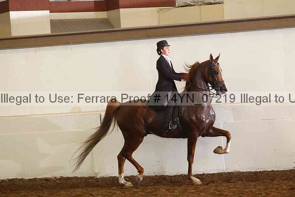 Proof 14yn_07219