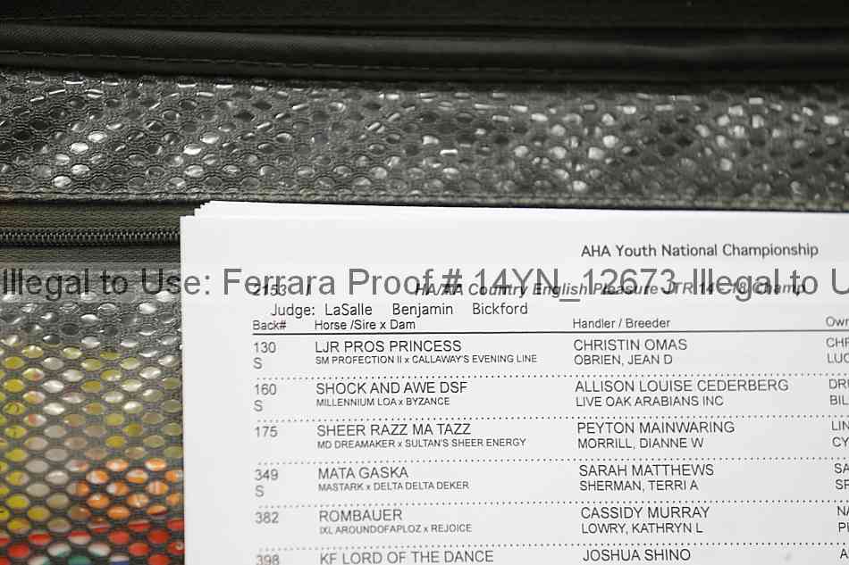 Proof 14yn_12673