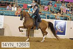 14yn_12681 proof