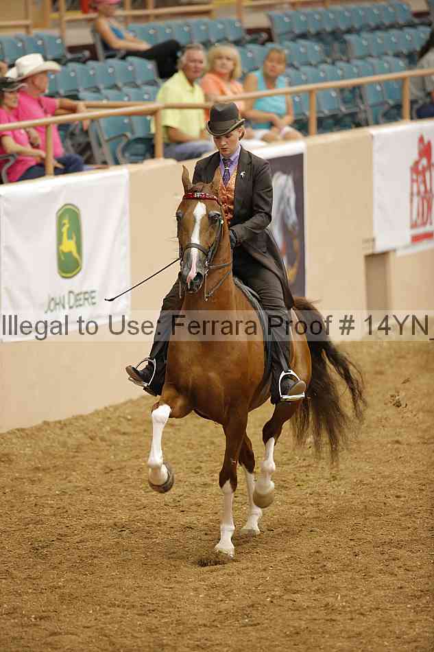 Proof 14yn_12705