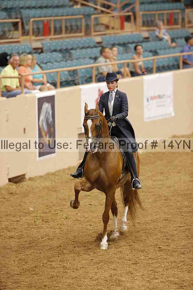 Proof 14yn_12707