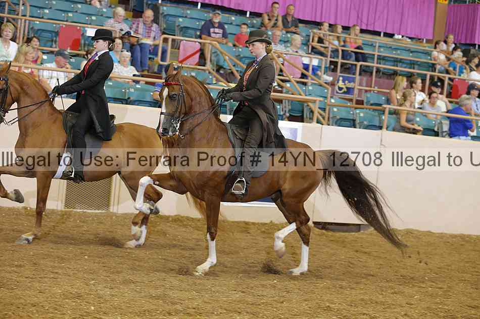 Proof 14yn_12708