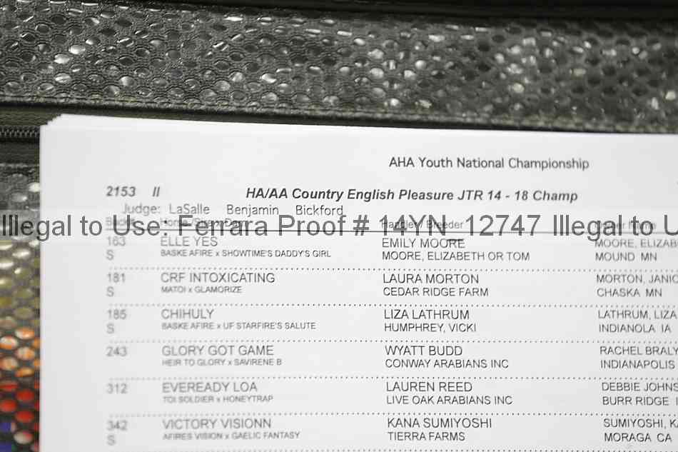 Proof 14yn_12747