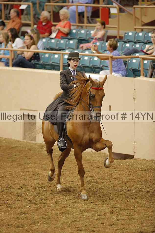 Proof 14yn_12804
