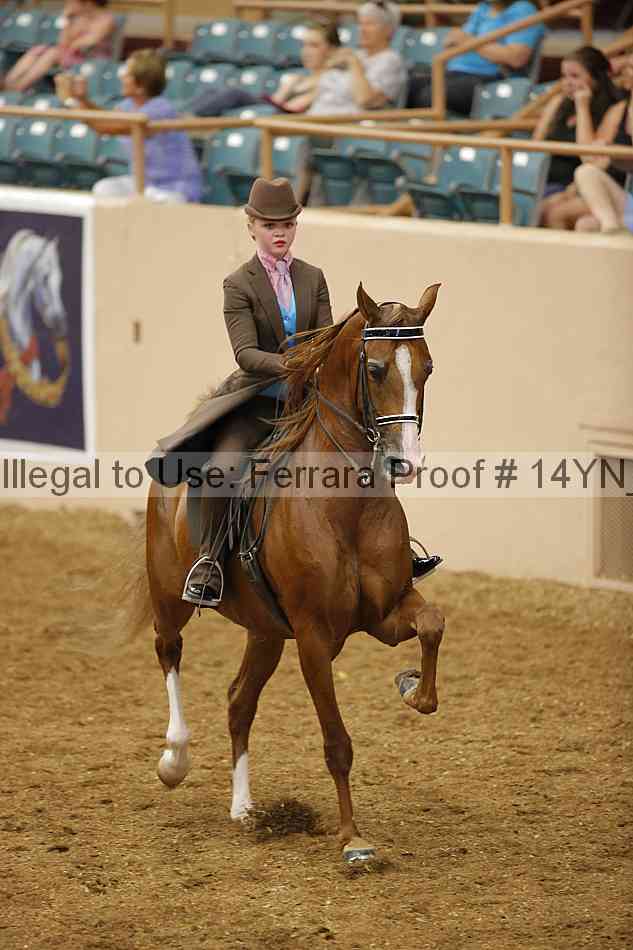 Proof 14yn_12806