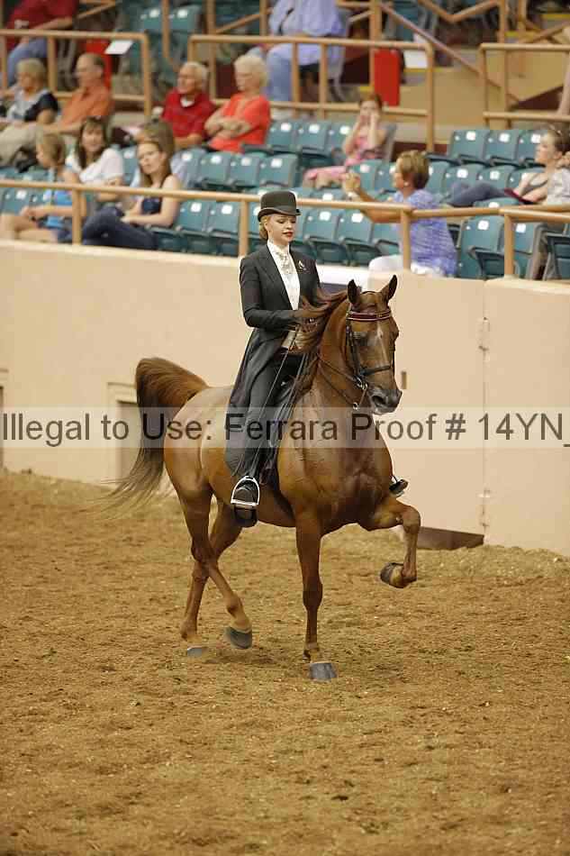 Proof 14yn_12807