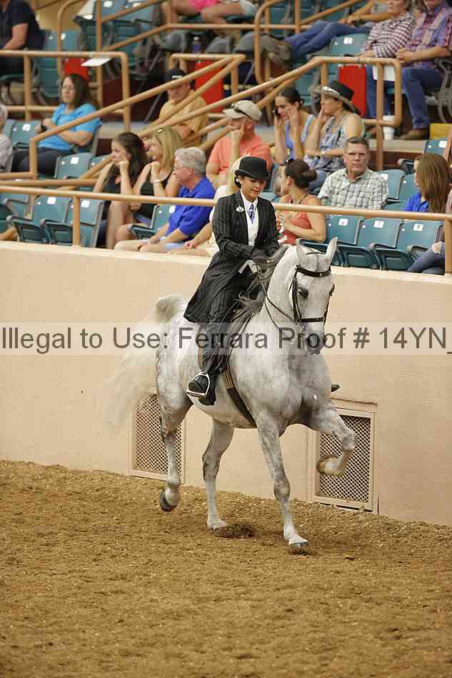 Proof 14yn_12809
