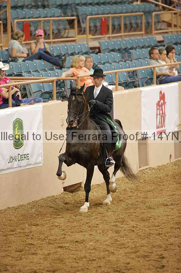 Proof 14yn_12823
