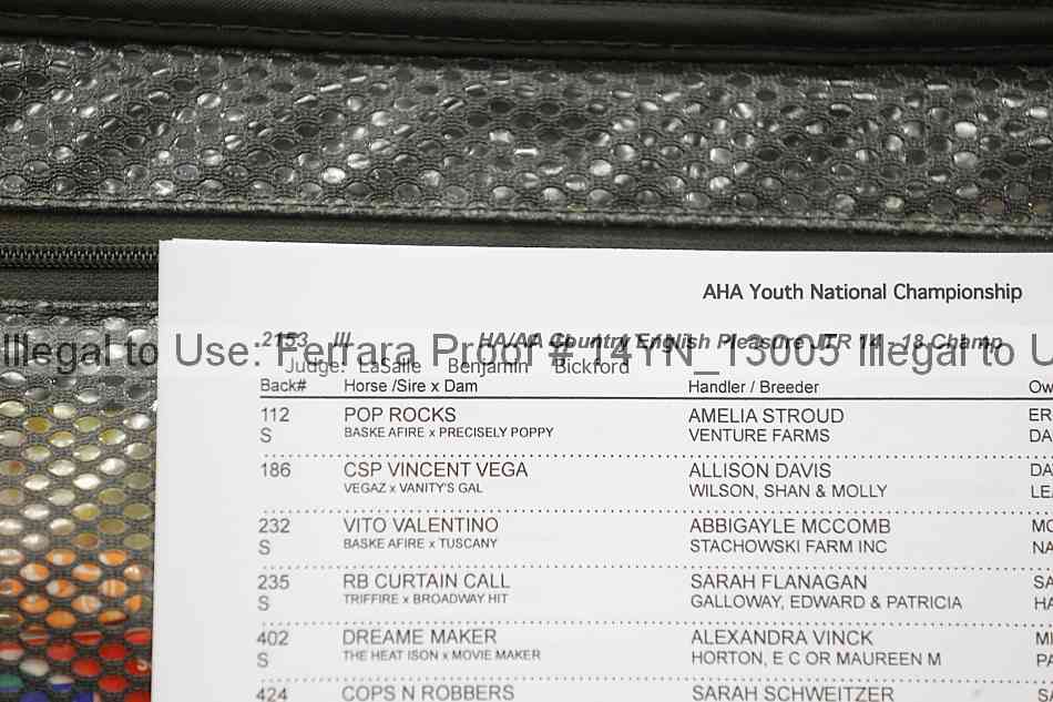 Proof 14yn_13005