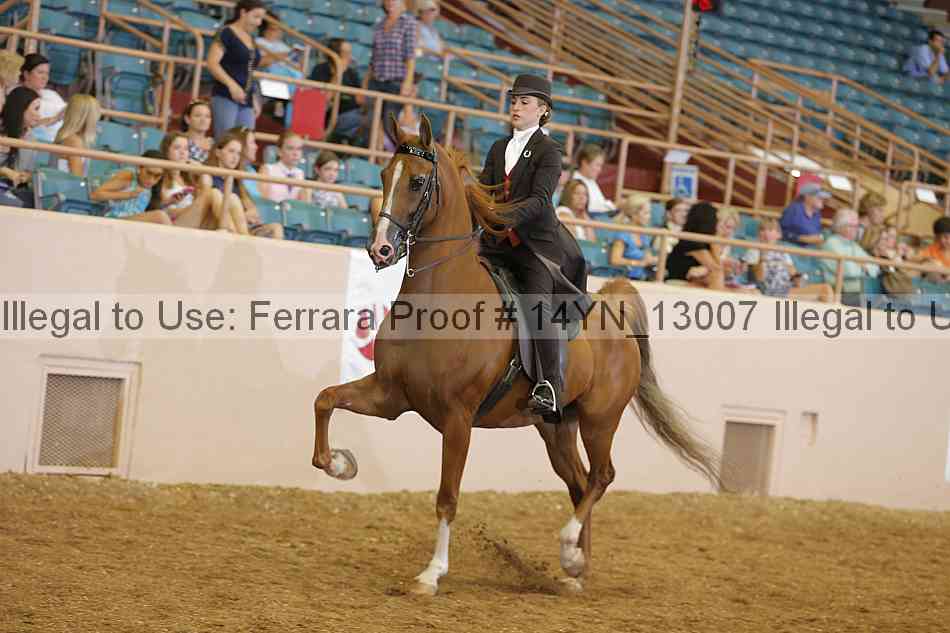 Proof 14yn_13007