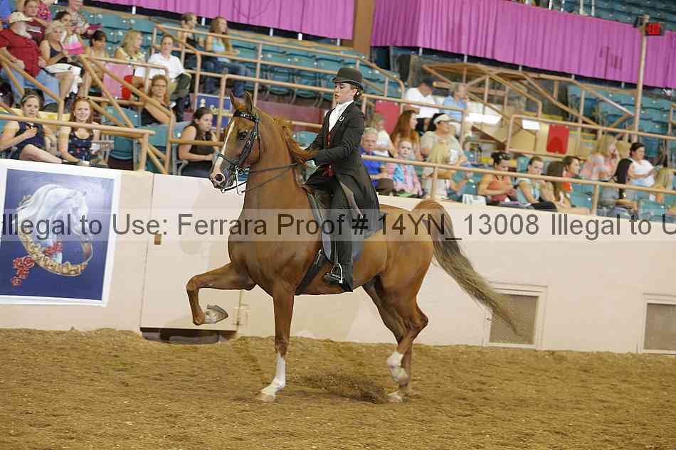 Proof 14yn_13008