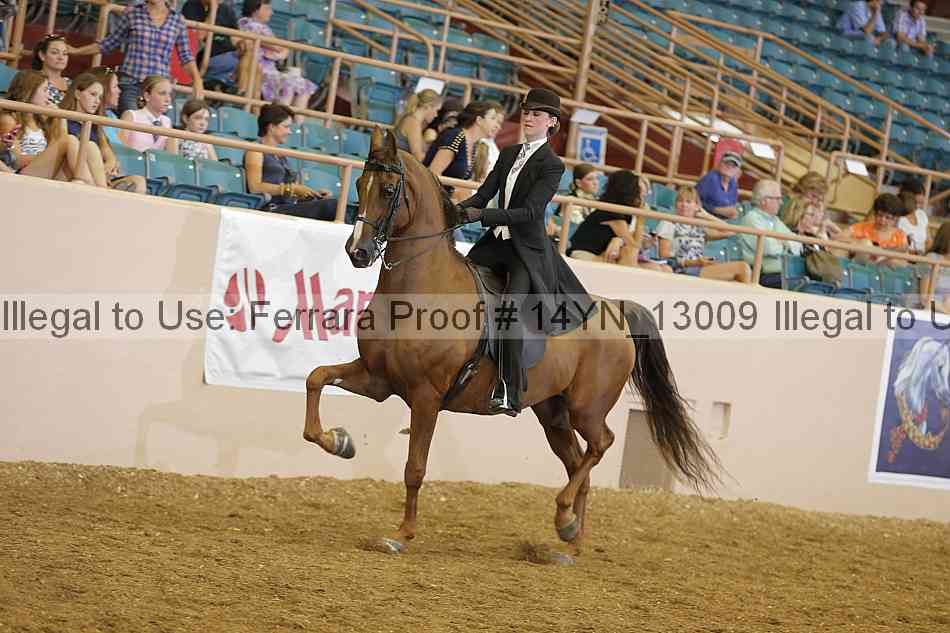 Proof 14yn_13009